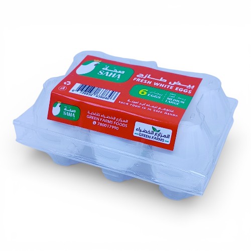 بيض طازج صحة المزارع الخضراء 6 حبات