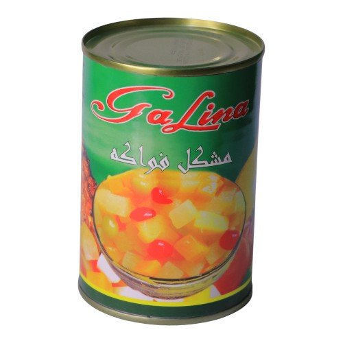 فواكه مشكلة بالشراب جالينا 425جم