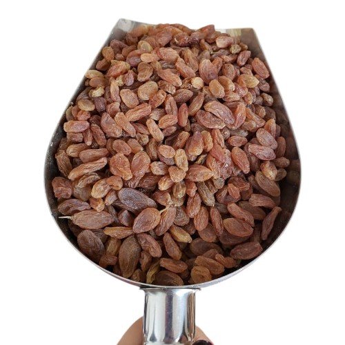 زبيب بلدي ( A