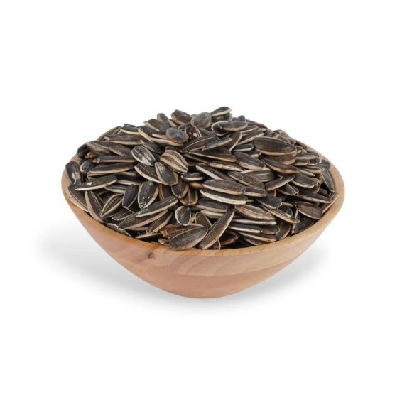 عباد الشمس ني